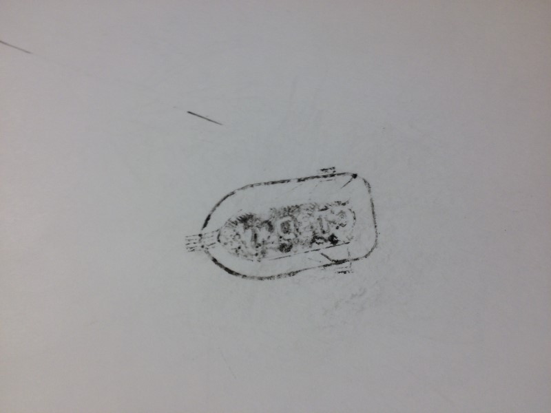 IMG_0378 (Custom).JPG