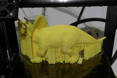 Triceratops.jpg