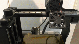 Stern.gif