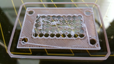 PETG first print.jpg
