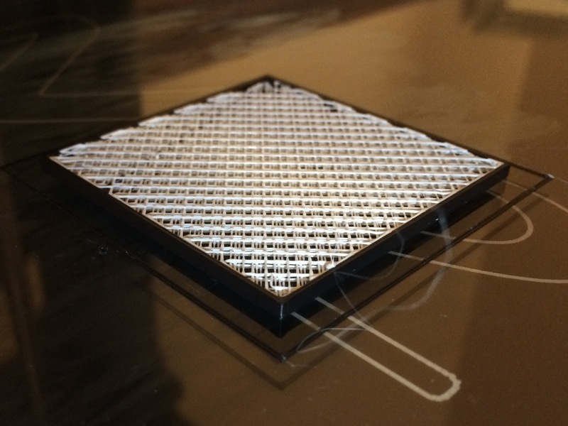 dual extruder test.jpg