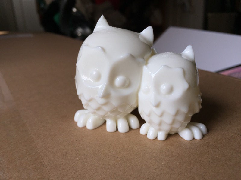 owls-4.JPG